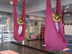 空中瑜伽-舞佳舞空中瑜伽馆