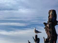 -捞渔河湿地公园