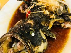 清蒸石斑鱼-海岛渔村大酒店(云霄路店)