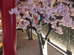 -蓝鲸湾汤泉(包河店)