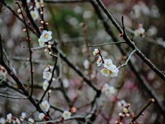 -溪口-滕头旅游景区