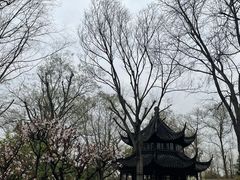 -拙政园