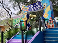 -芦仙山景区-飞越丛林探险乐园