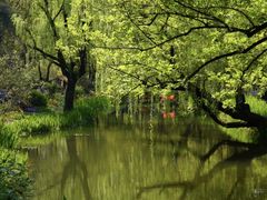 -上海共青森林公园