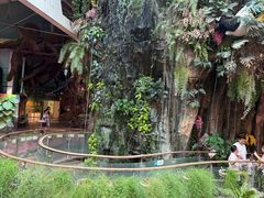 -正佳雨林生态植物园