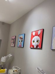 -洗脸猫·洗脸吧
