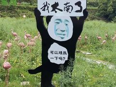-婺源风景区