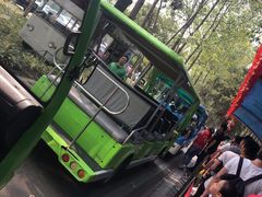 -合肥滨湖国家森林公园