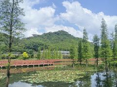 -广州市石门国家森林公园