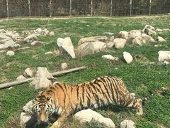 -西安秦岭野生动物园