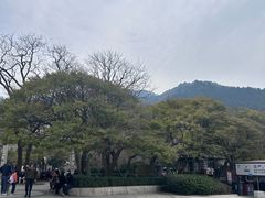 -青岛崂山太清宫