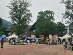 -苏州乐园森林水世界