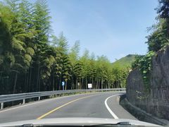-江南天池