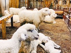 -OUR Bakery(SKP-S店)