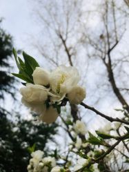 -酷酷兔少儿拓展天地