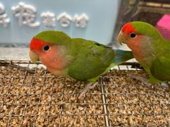 -万达广场(南京江宁店)