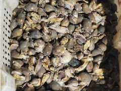 -登州市场(登州路店)