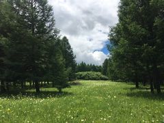 -塞罕坝国家级自然保护区