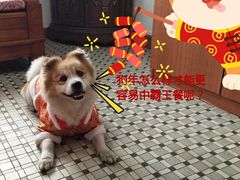 -那坡里(东华西路店)