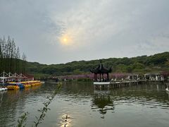 -苏州上方山国家森林公园