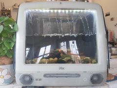门面-海边的猫和咖啡馆