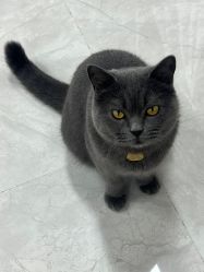 -莫兰迪婚纱摄影