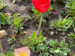 -九里河湿地公园