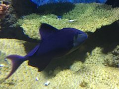 -多彩贵州城极地海洋世界