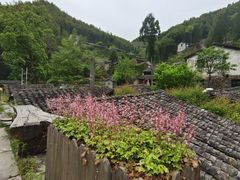 -MOJ coffee(瓯海泽雅水碓坑店)