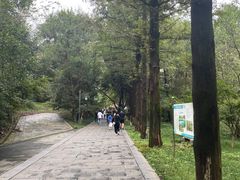 -敬亭山风景名胜区