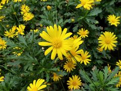 -香山公园-东宫门售票处