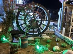 -慢丽江·云南野生菌土鸡锅(付家庄店)