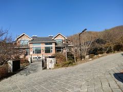 -北马山庄植趣咖啡