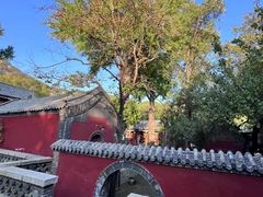 -泰山风景名胜区-普照寺