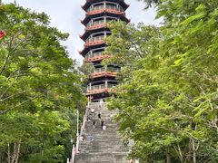 -红花山公园