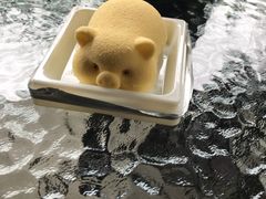 -柴犬高等学院·狗咖·柴犬售卖·宠物训练