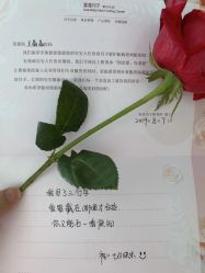 -千禧果月子会所(郑州东站店)
