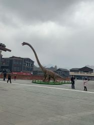 -恐龙探索乐园(磁器口店)