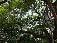 -黄埔古港