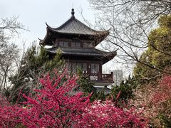 -堤角公园