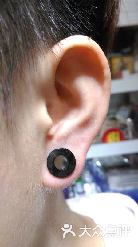 冬梅专业艺术穿孔图片 - 第1张