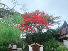 -水润轩私厨海南菜餐厅(铂尔曼酒店)