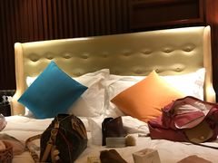 -成都明宇丽雅饭店