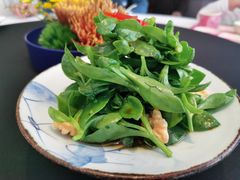 冰草-逸道(益丰·外滩源店)