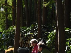 -共青国家森林公园-停车场