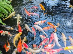 -聚福宝合苑食府(南头镇店)