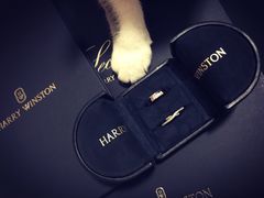 -Harry Winston 海瑞温斯顿