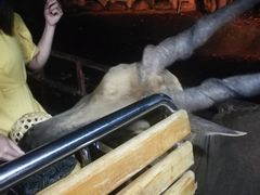 -清迈夜间动物园
