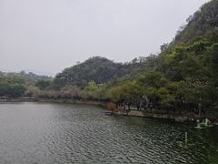 -星湖旅游景区七星岩