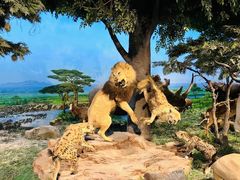 -国家自然博物馆